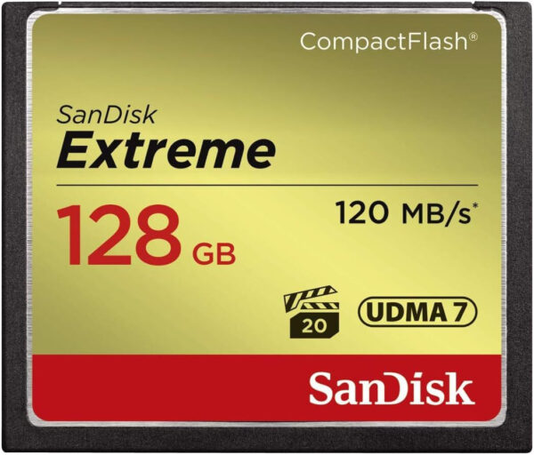 Carte mémoire SanDisk Extreme CompactFlash 128 Go (SDCFXSB-128G-G46)