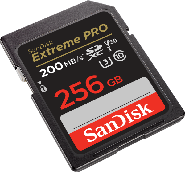 Carte mémoire SDXC™ UHS-I SanDisk Extreme PRO 256 Go (SDSDXXD-256G-GN4IN) – Image 2