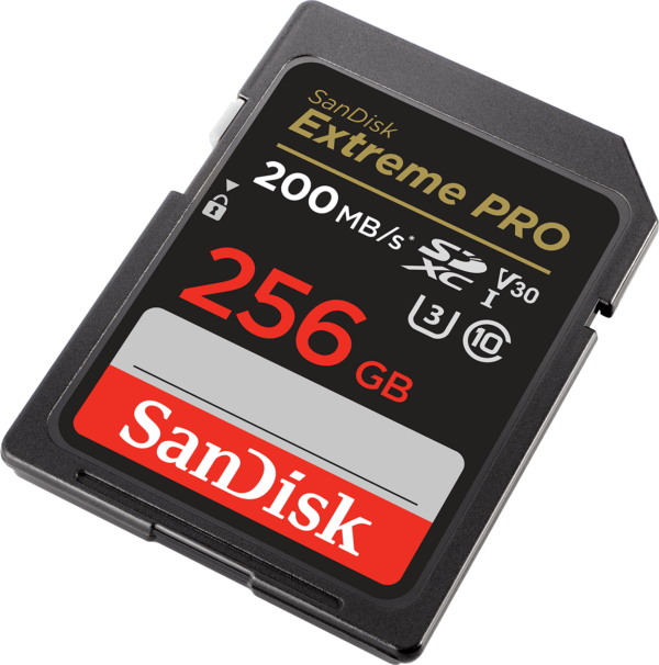 Carte mémoire SDXC™ UHS-I SanDisk Extreme PRO 256 Go (SDSDXXD-256G-GN4IN) – Image 3