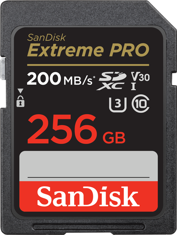 Carte mémoire SDXC™ UHS-I SanDisk Extreme PRO 256 Go (SDSDXXD-256G-GN4IN)