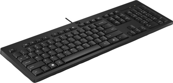 Clavier filaire HP 125 AZERTY (266C9AA) – Image 5