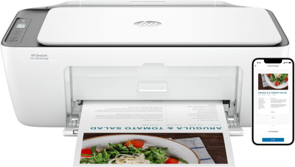 Imprimante multifonction HP DeskJet Ink Advantage 2876 (6W7E6C)