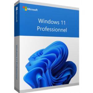 microsoft windows 11 professionnel 64bit 1pk dsp oei dvd anglais fqc 10528